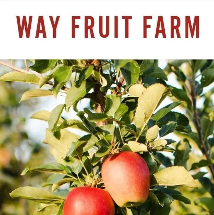 Way Fruit Farm