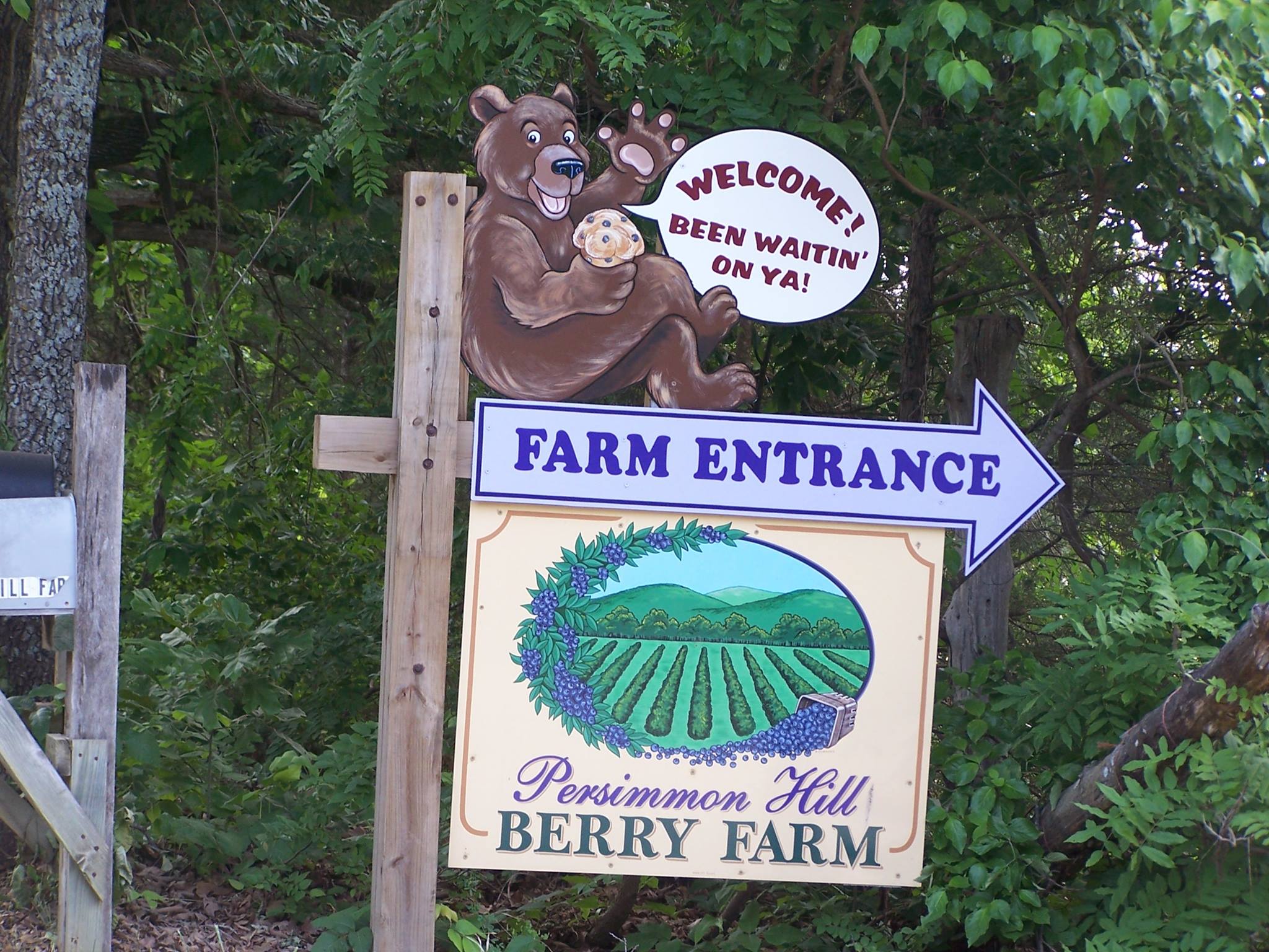 Business logo of Persimmon Hill Farm