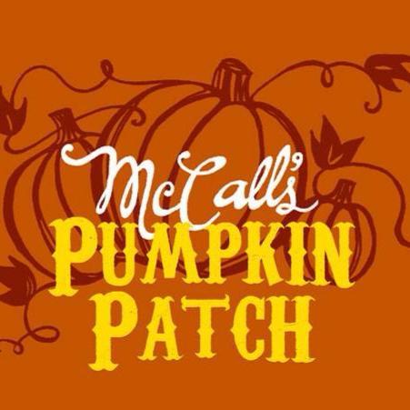 Company logo of McCall's Pumpkin Patch
