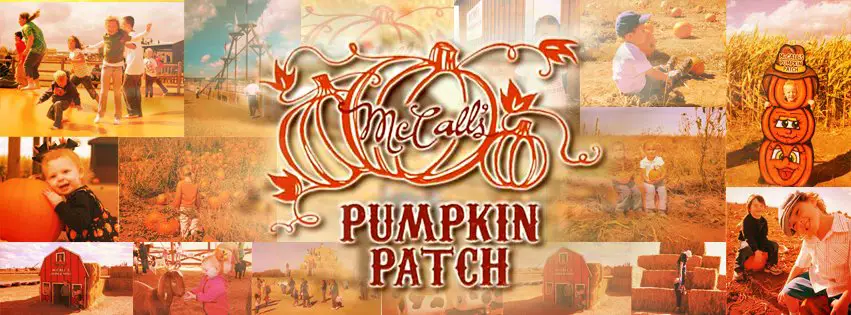 McCall's Pumpkin Patch