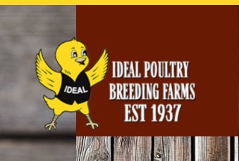 Company logo of Ideal Poultry