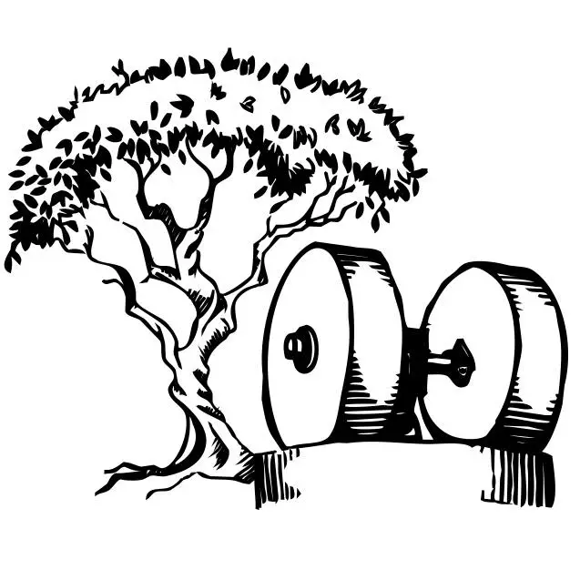 Business logo of Queen Creek Olive Mill