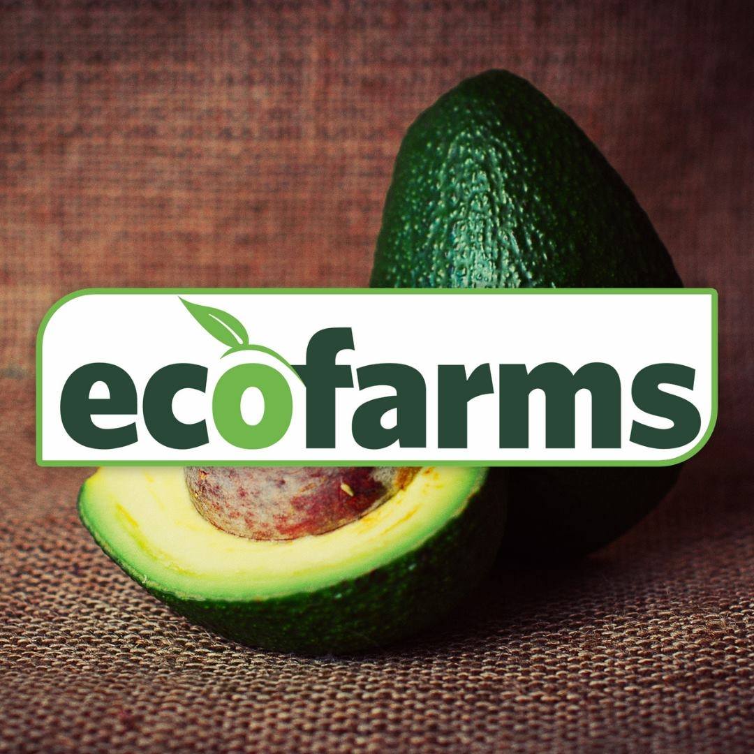 Company logo of Eco Farms