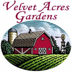 Company logo of Velvet Acres Gardens