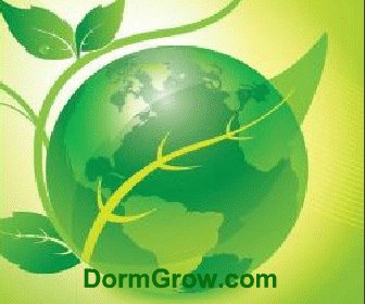 Company logo of DormGrow.com LED Grow Light