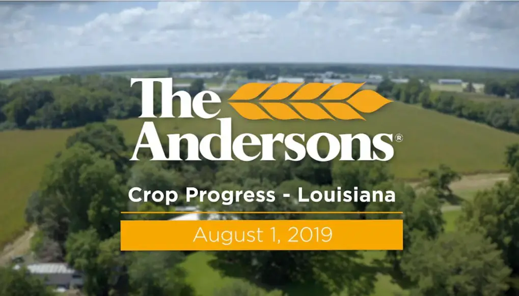 Company logo of Andersons Grain & Ethanol