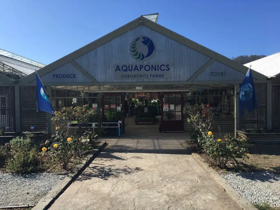 Ouroboros Aquaponics Farm
