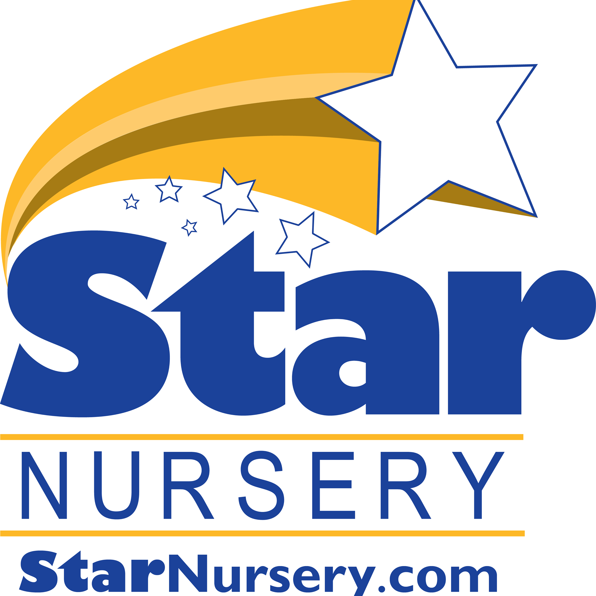 Business logo of Star Nursery Garden and Rock Center