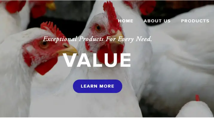 Nelson Poultry Farms Inc
