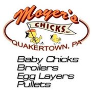 Business logo of Moyer's Chicks
