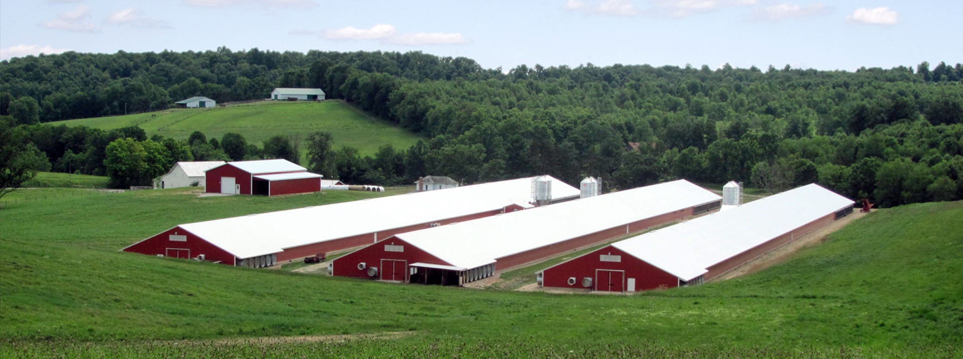 Case Farms Goldsboro Hatchery