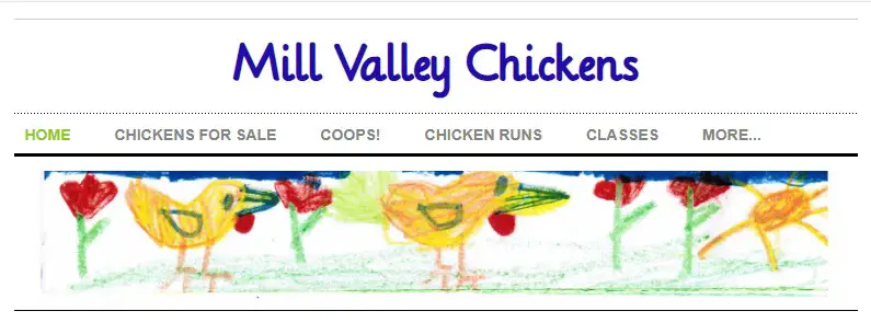 Mill Valley Chickens