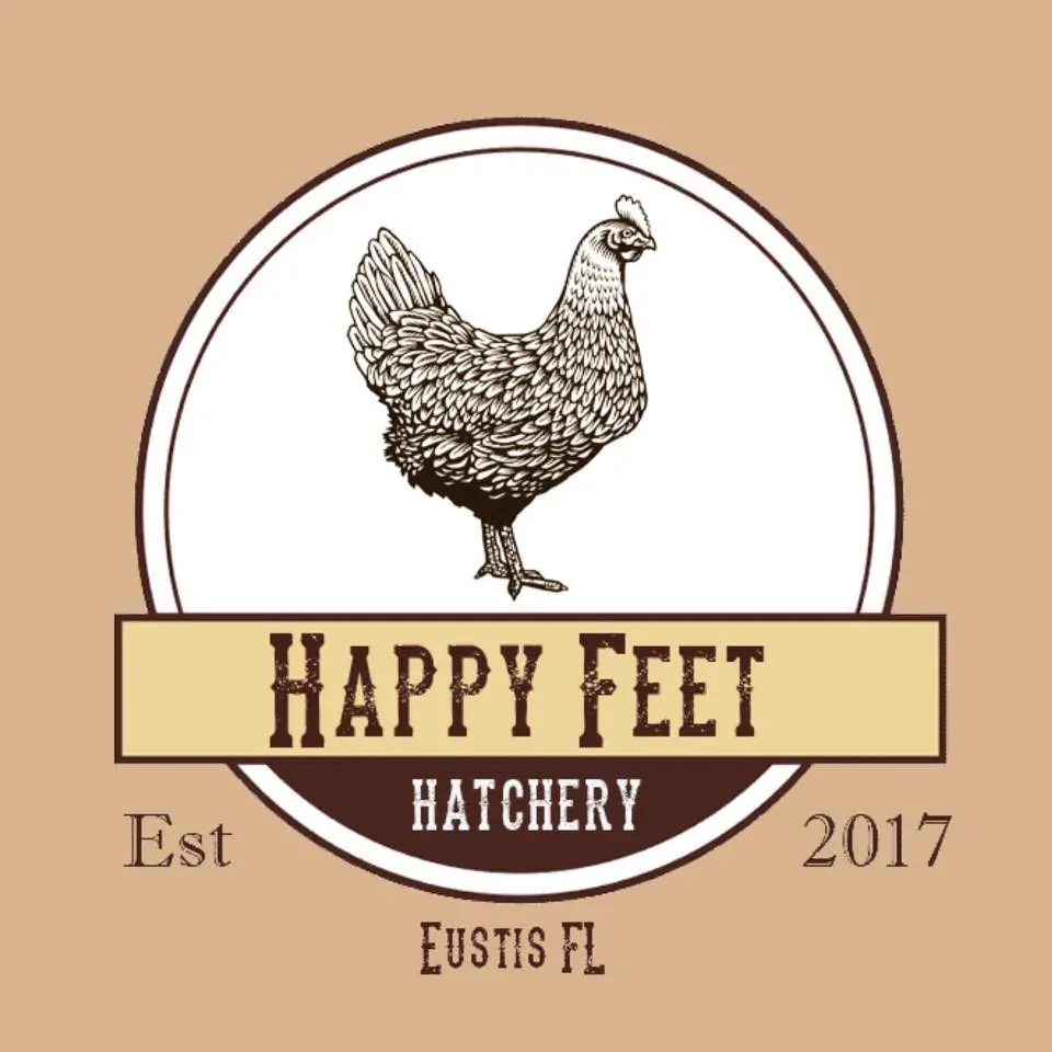 Business logo of Happy Feet Hatchery