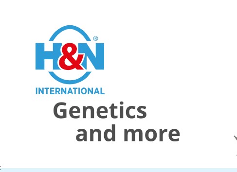 Company logo of H & N International GmbH