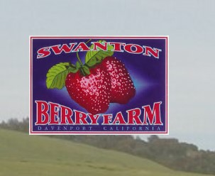Business logo of Swanton Berry Farm