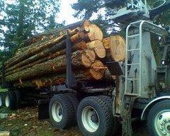 American Forest Lands Washington Logging Company LLC