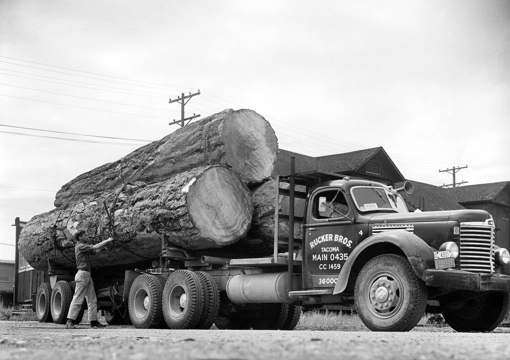 Mill Outlet Lumber