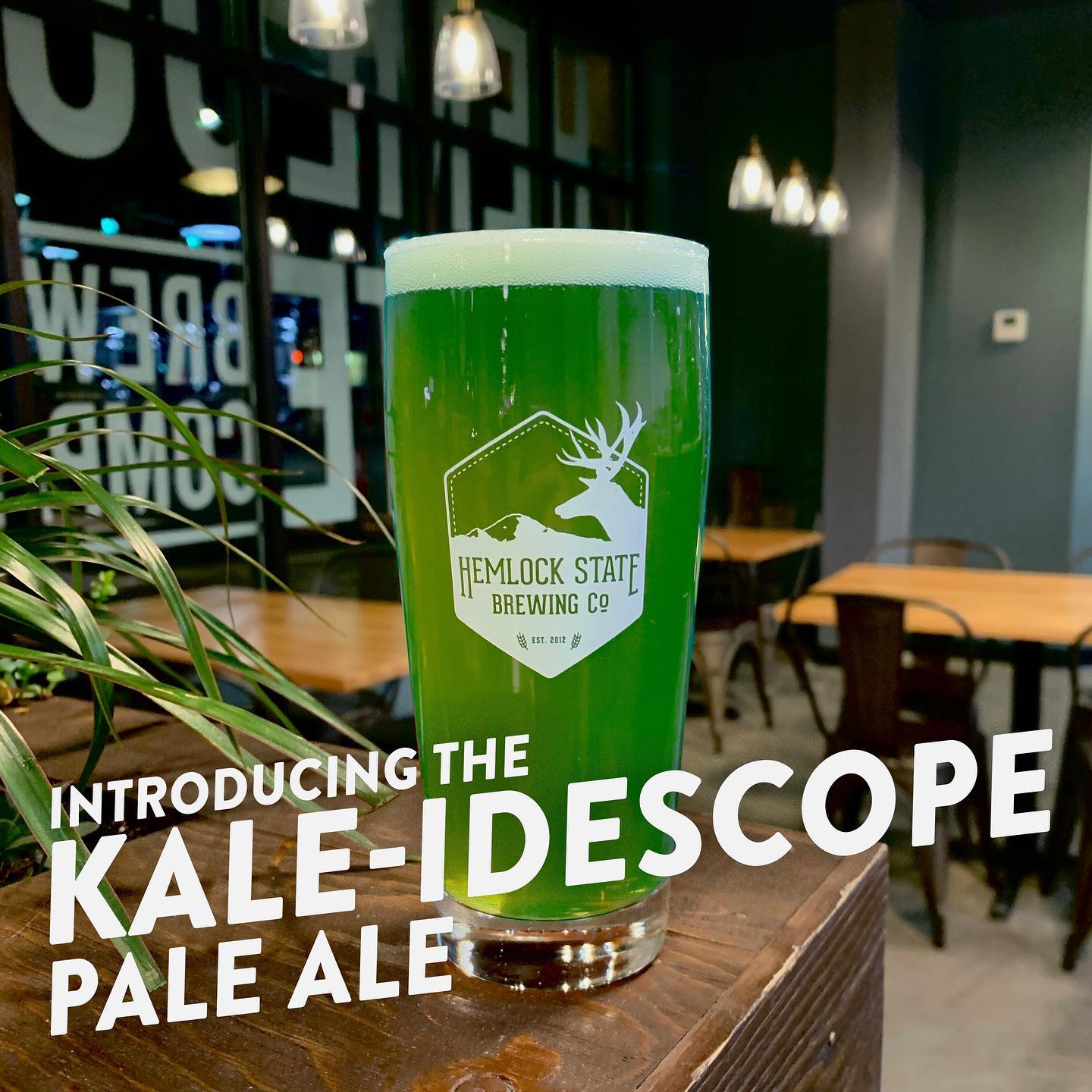 Albeit a bit late, we’re excited to finally release our newest addition to our taplist, The Kale-idescope Pale, aptly named since we’ve added fresh kale to the delightfully balanced grain bill.