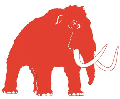 Business logo of Mammoth