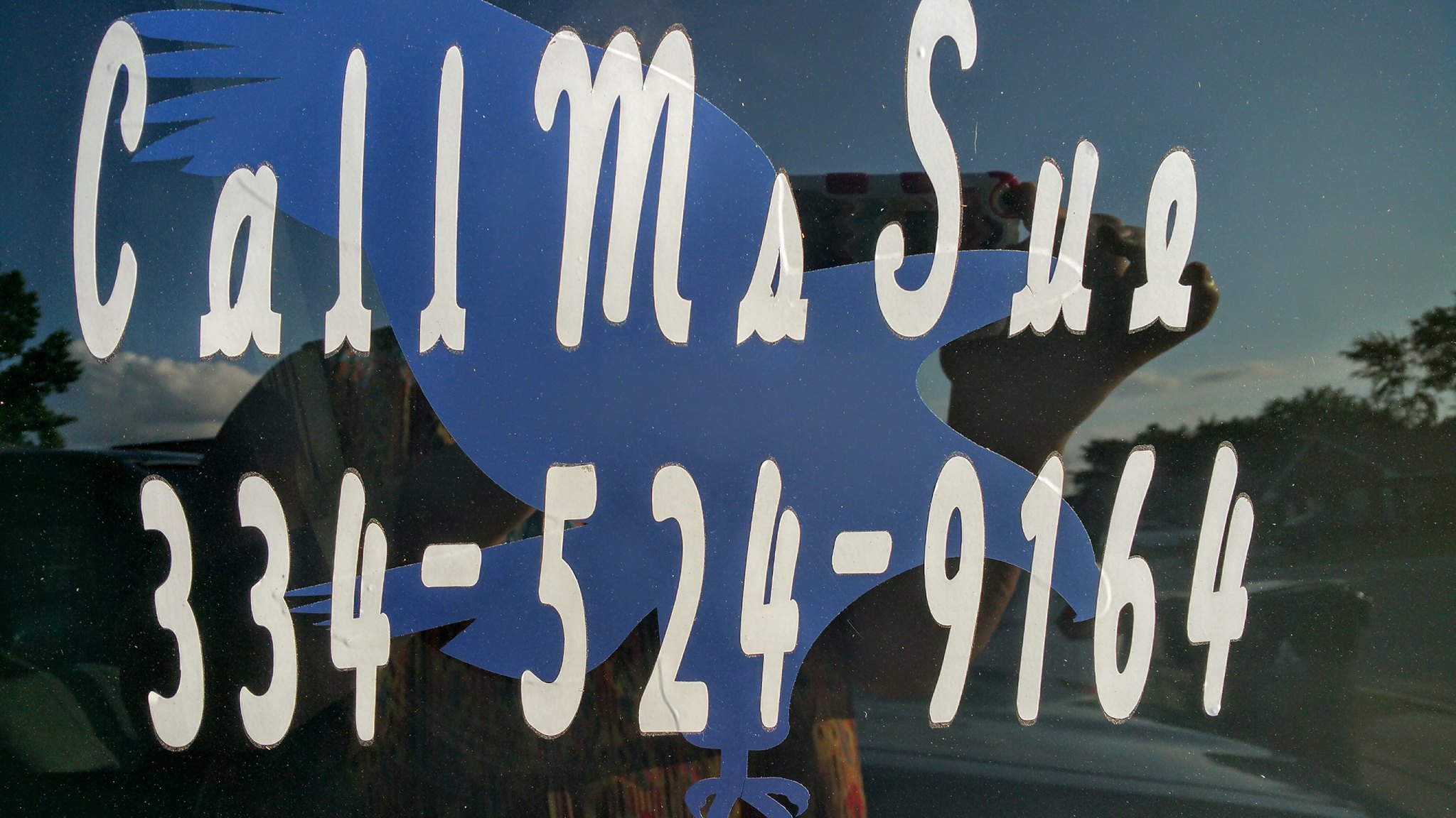 Business logo of Ms. Sue's Taxi