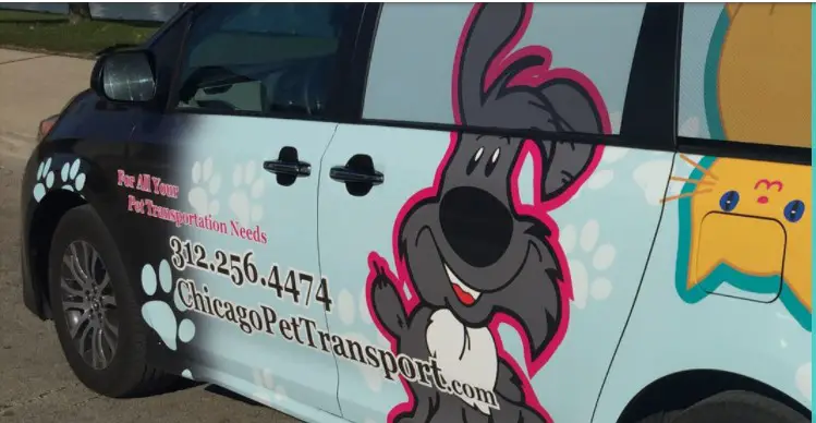 Company logo of Chicago Pet Transport