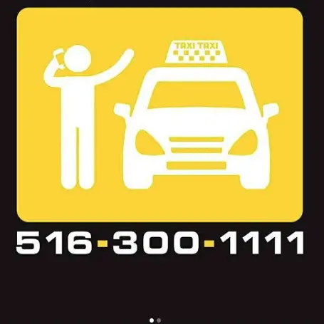 Business logo of Taxi Taxi