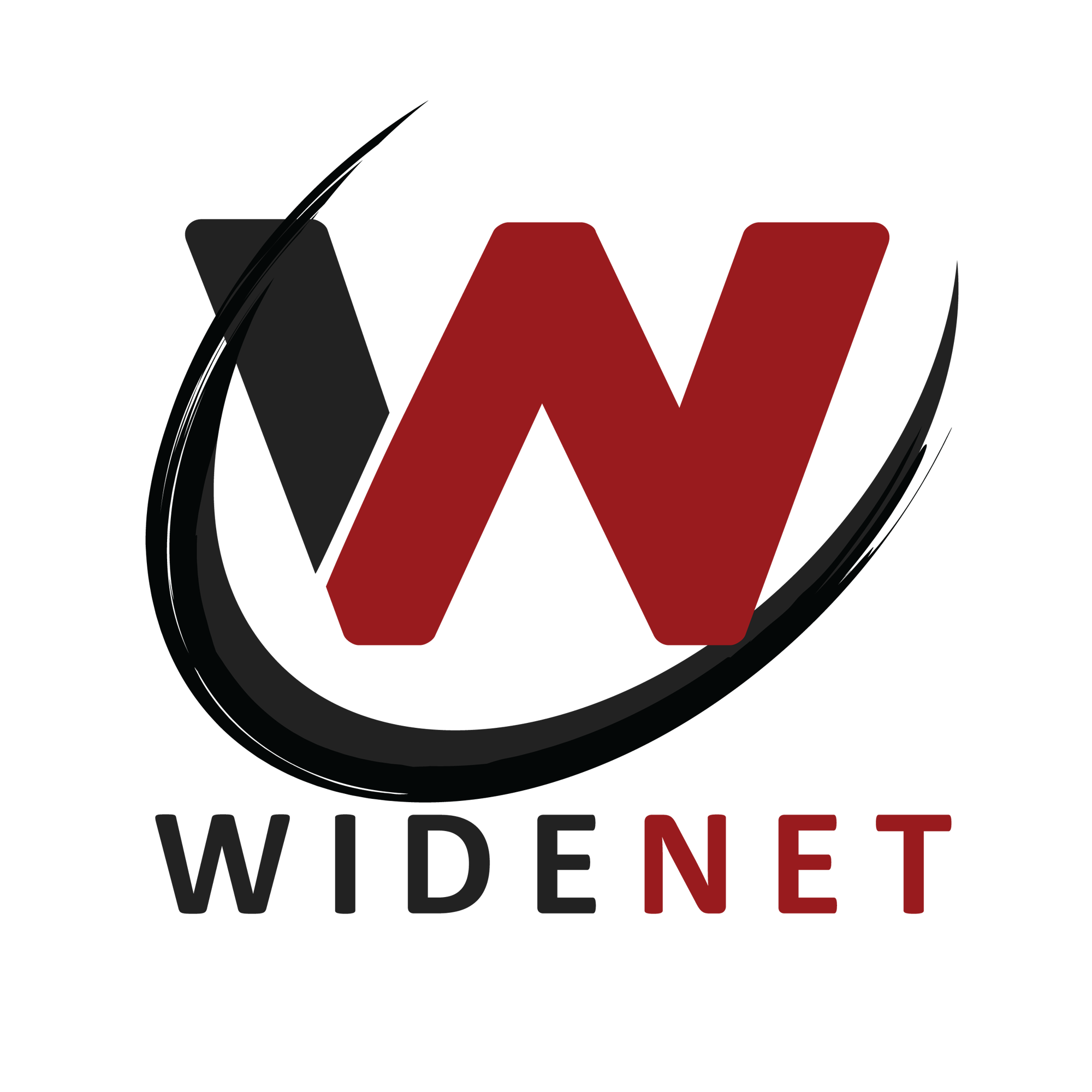 Business logo of WideNet Consulting, LLC