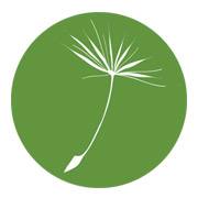 Business logo of dandelion marketing