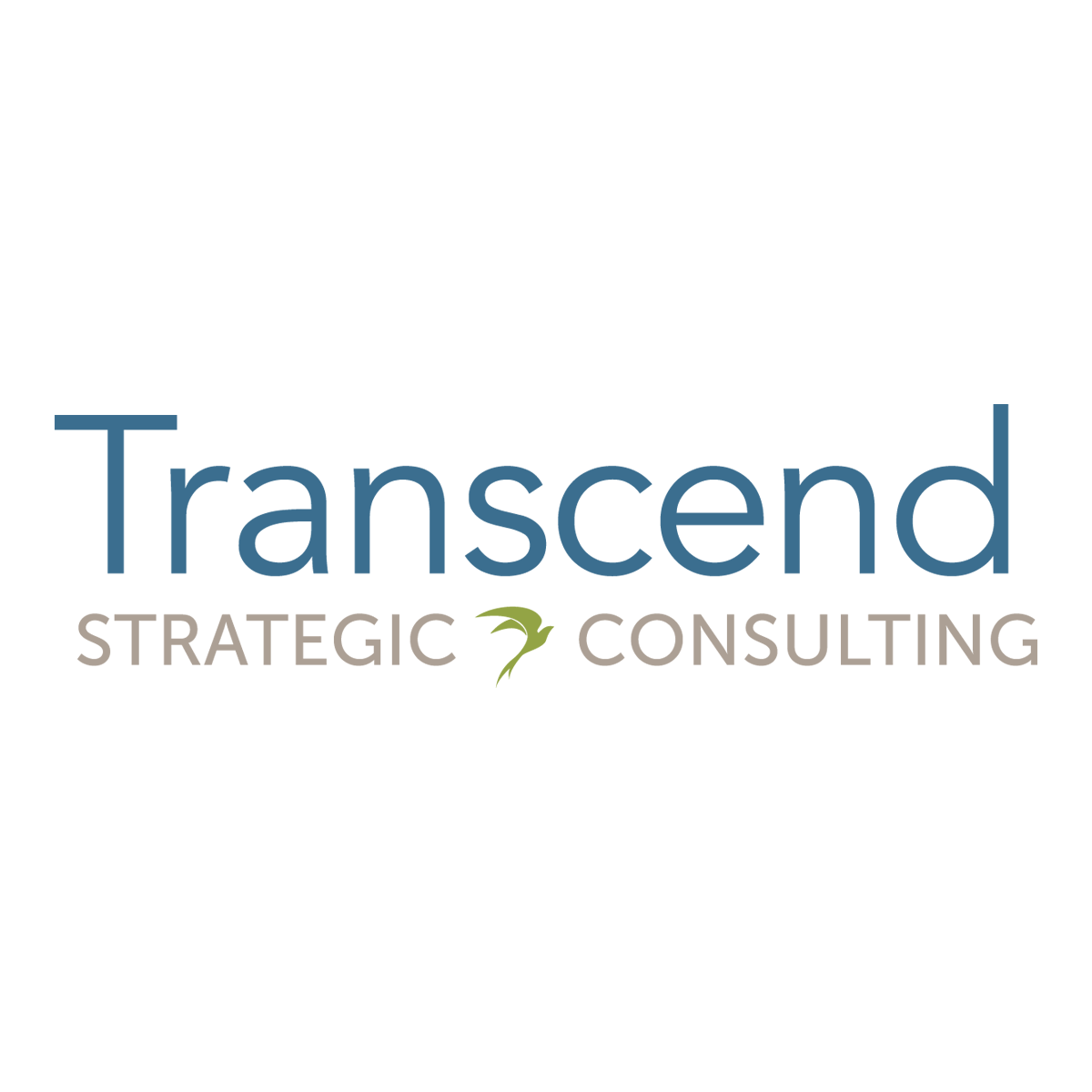 Company logo of Transcend Strategic Consulting