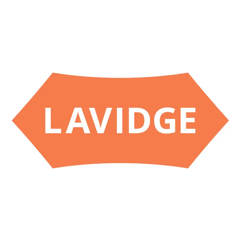 Company logo of LAVIDGE