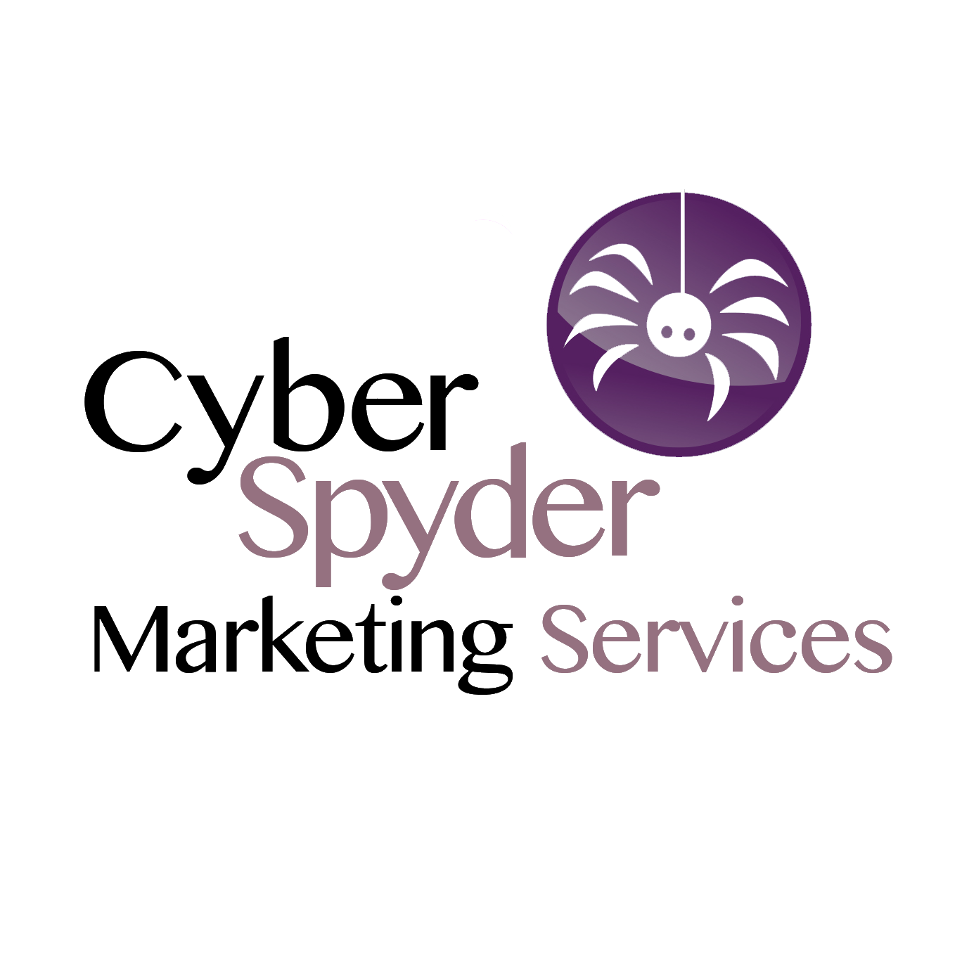 Business logo of CyberSpyder Marketing Services