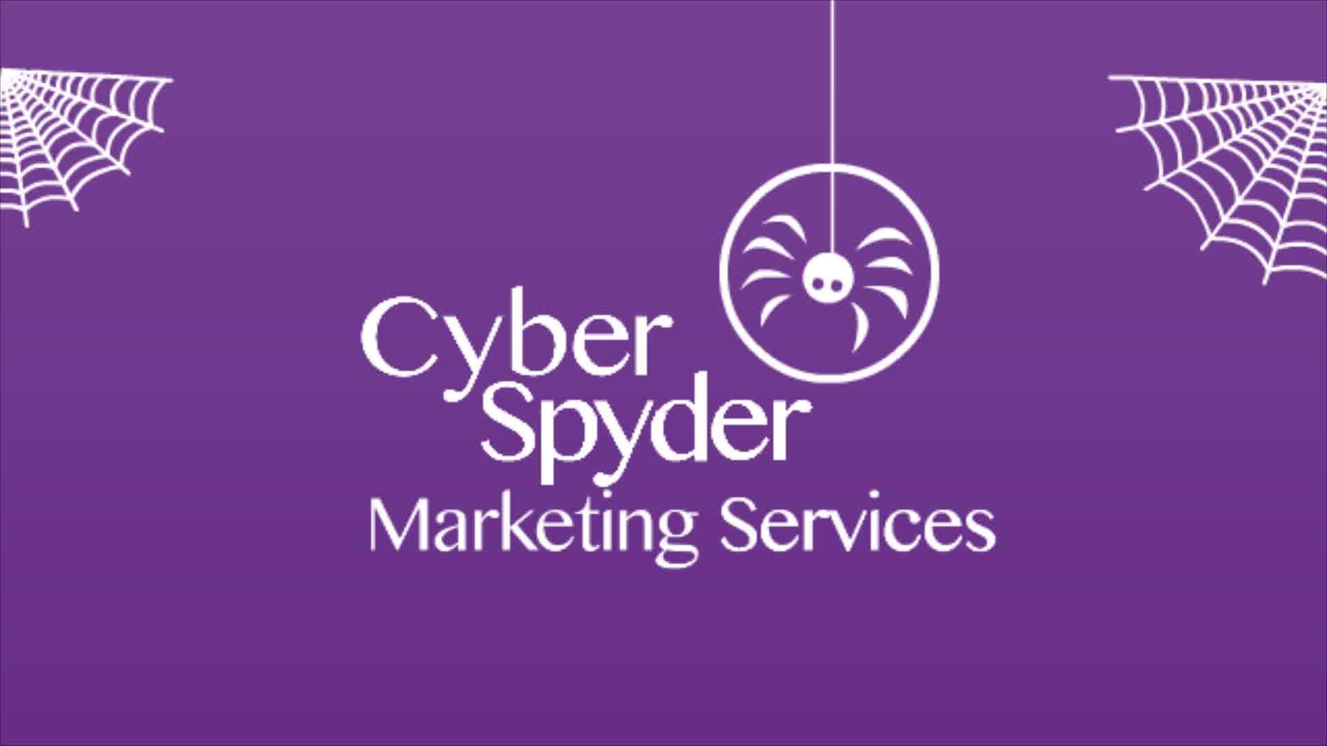 CyberSpyder Marketing Services