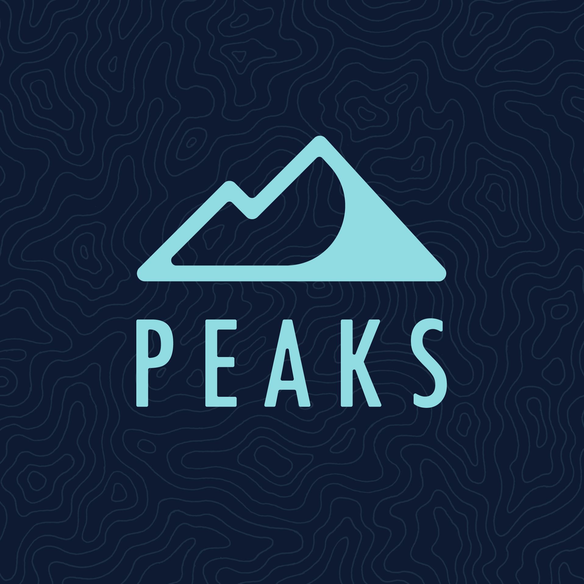 Business logo of Peaks Digital Marketing