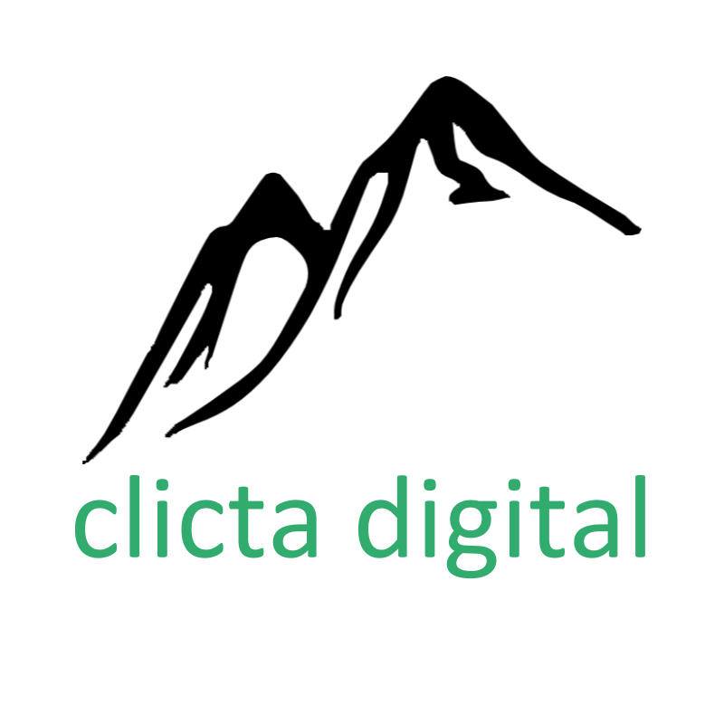 Business logo of Clicta Digital Agency