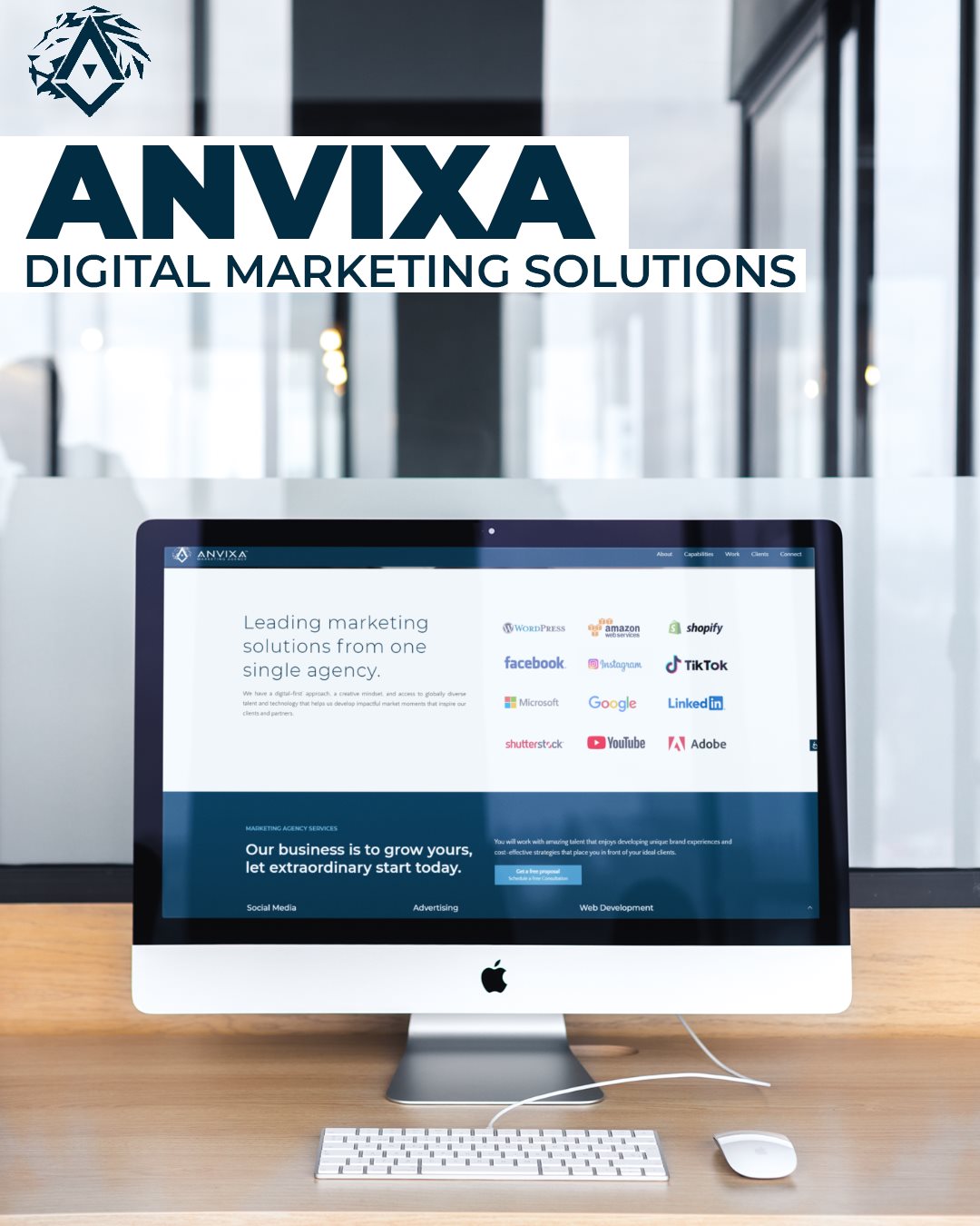 Anvixa Digital Marketing Agency