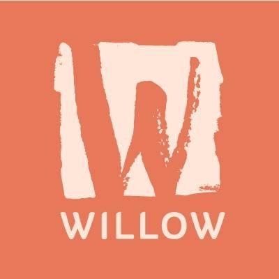 Business logo of Willow Marketing