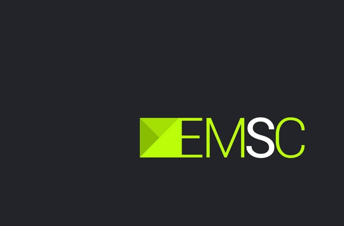 EM Search Consulting