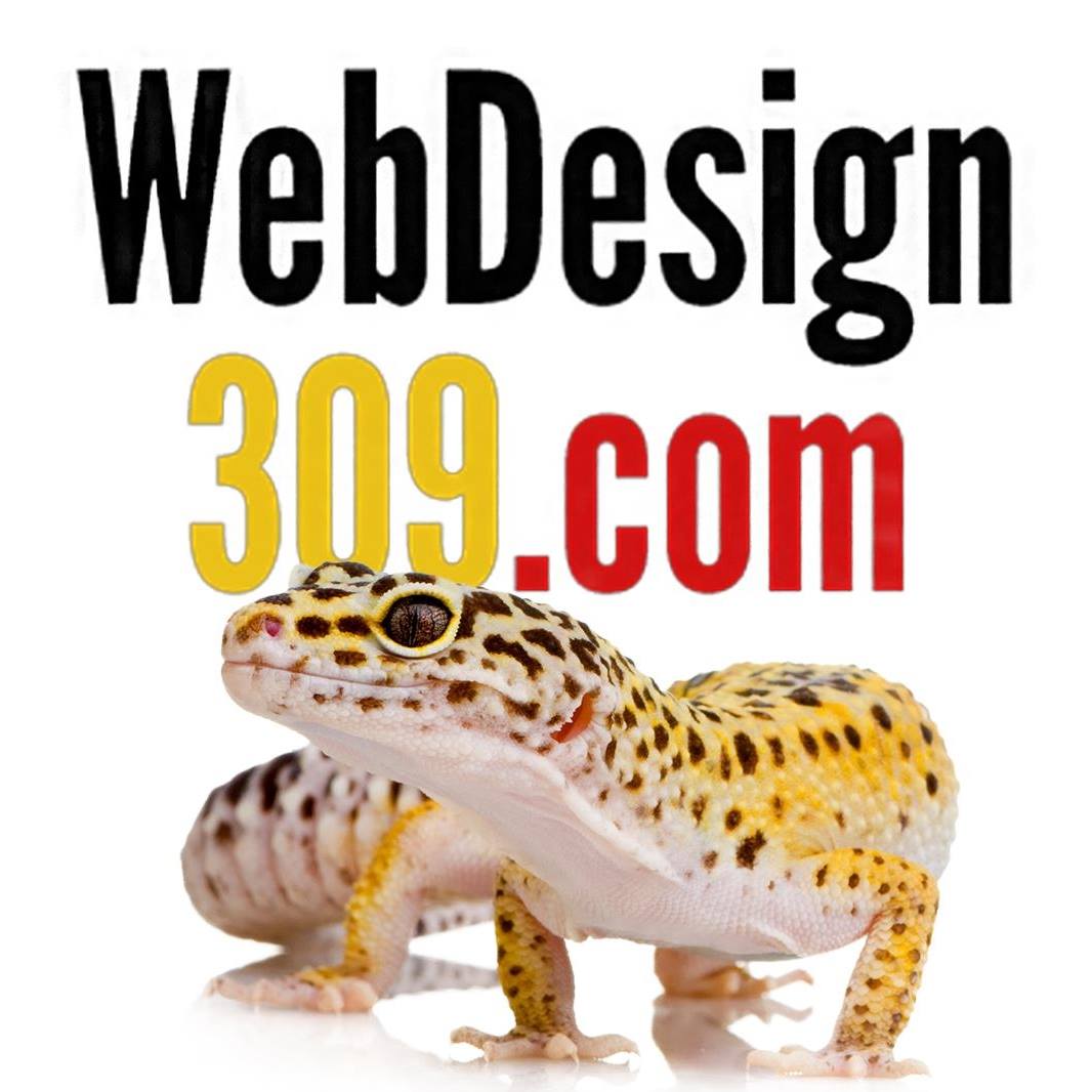 Business logo of WebDesign309.com Schaumburg