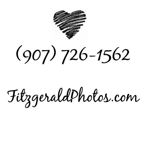 Business logo of Fitzgerald Photography