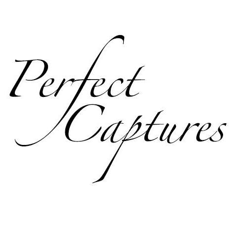 Business logo of Perfect Captures