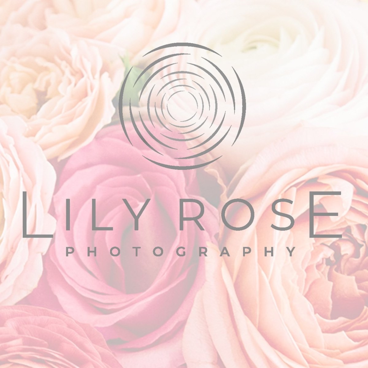 Company logo of Lily Rose Photography
