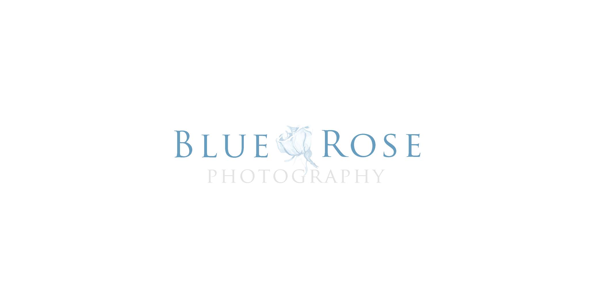 Business logo of Blue Rose Photography Studio