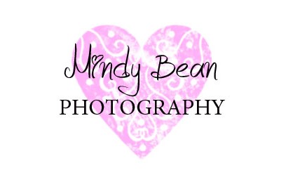 Company logo of Mindy Bean Photography