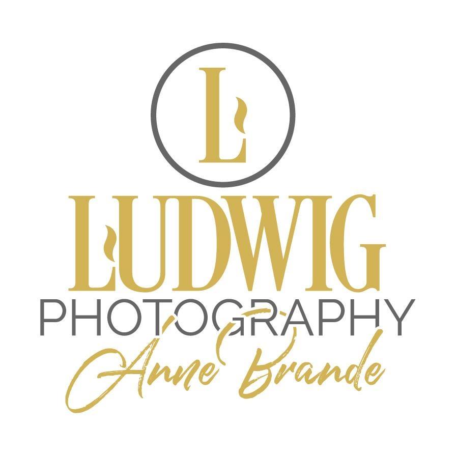 Business logo of Ludwig Photography