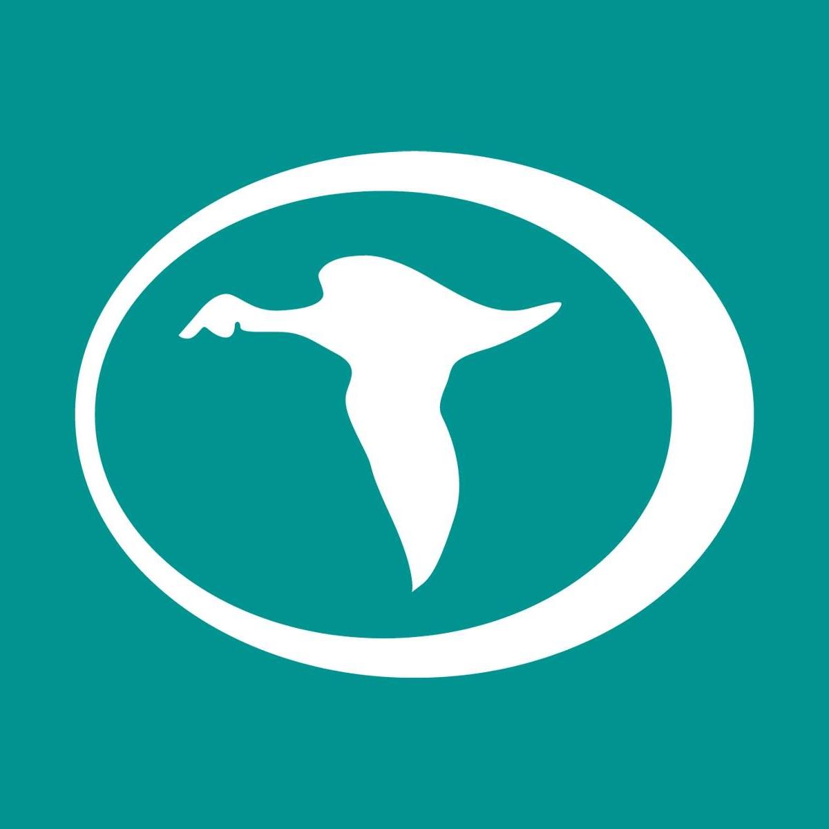 Business logo of Teal Construction Company