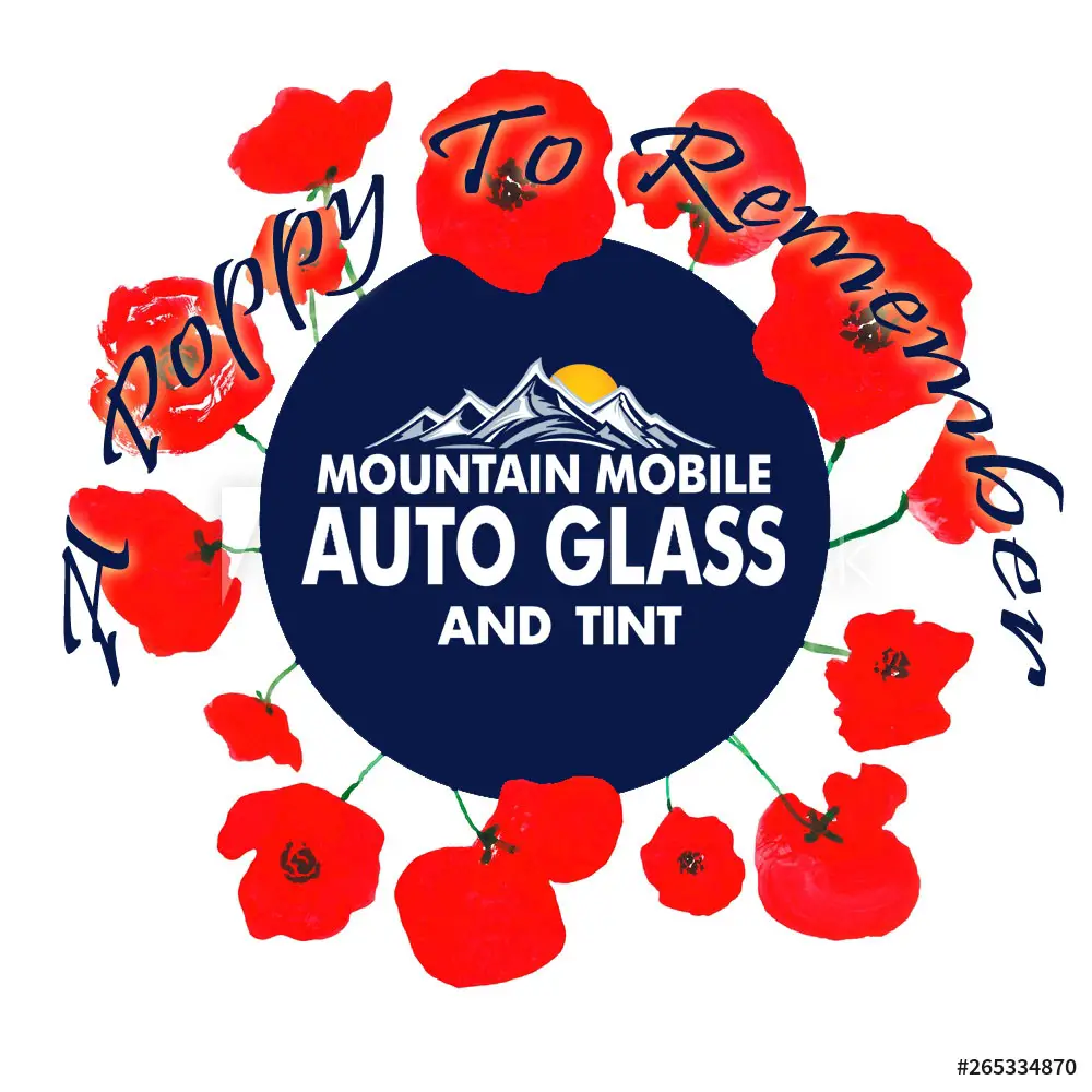 Company logo of Mountain Mobile Auto Glass and Tint