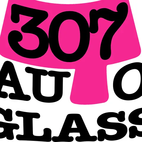 Business logo of 307 Auto Glass