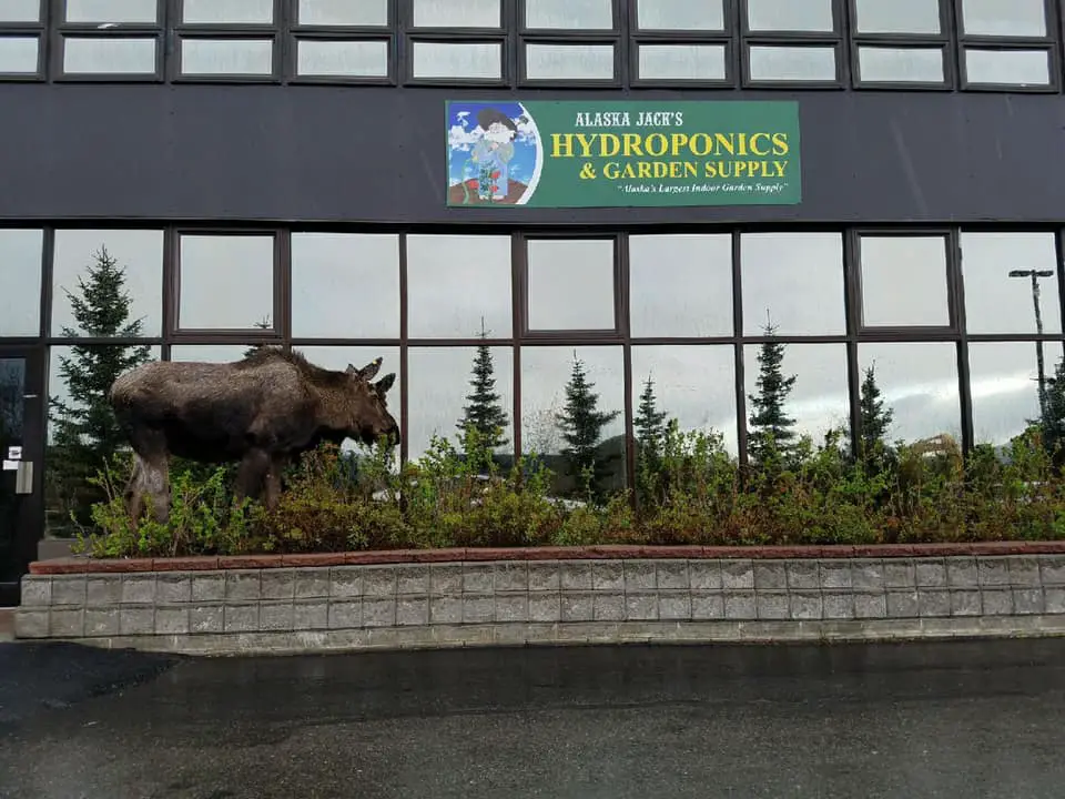 Alaska Jack's Hydroponics and Garden Supply Wasilla