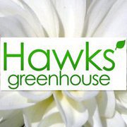 Company logo of Hawks Greenhouse