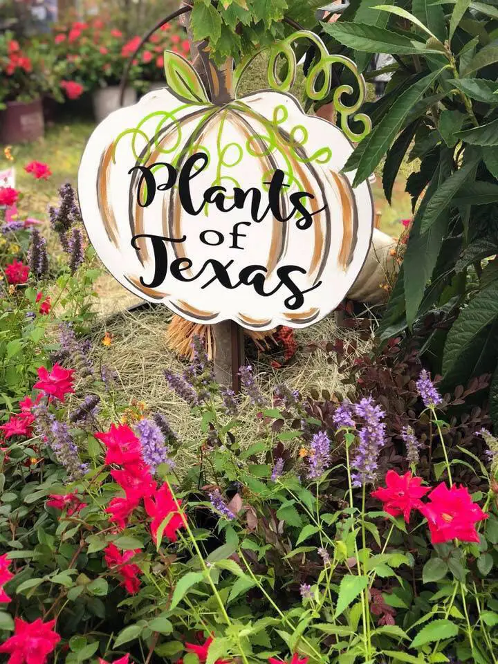 Plants of Texas